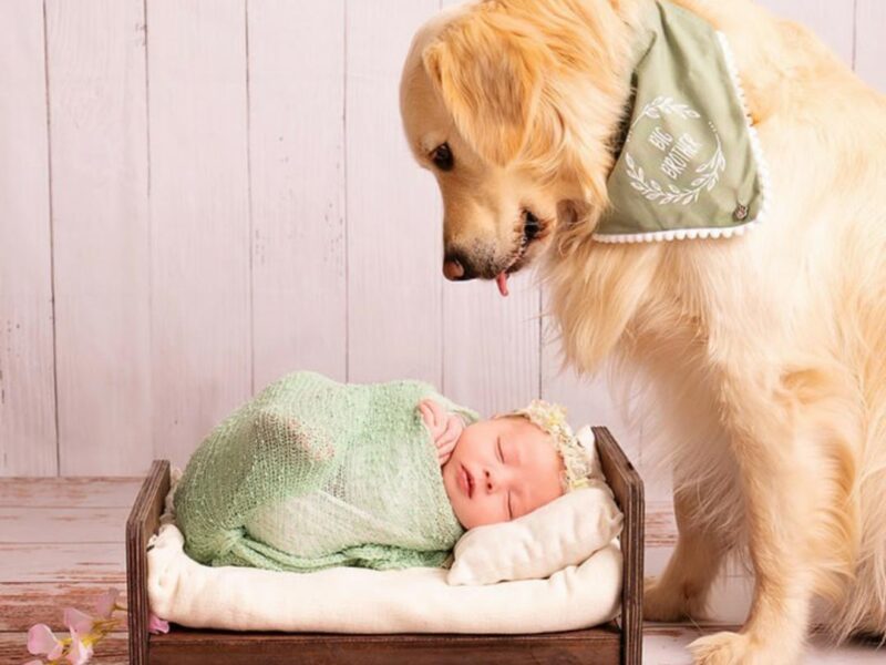 Relaxing and Professional Newborn/Baby Portrait Photographer with Cozy Studio and Expert Post-Production Work.
