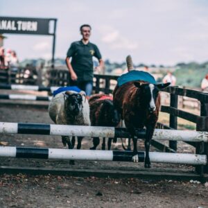 Storytelling through Lifestyle Photography: Capturing Beautiful Moments for Businesses & Brands Across Yorkshire and Beyond