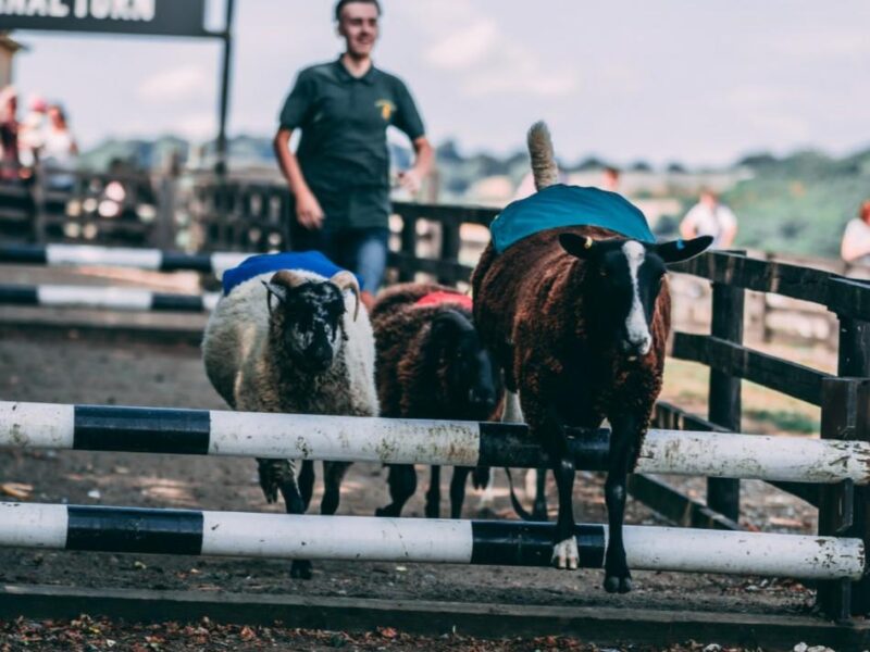 Storytelling through Lifestyle Photography: Capturing Beautiful Moments for Businesses & Brands Across Yorkshire and Beyond