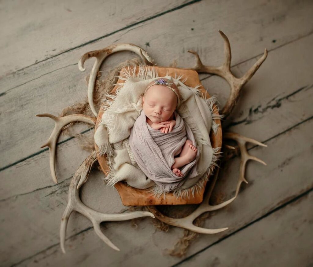 Artistic Newborn & Family Portraits: Relax and Let Us Do the Work! 13 Years of Experience and a Studio Full of Props for Unique Photos.