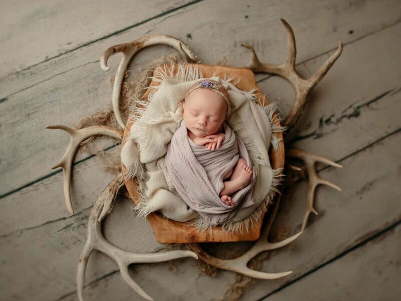Artistic Newborn & Family Portraits: Relax and Let Us Do the Work! 13 Years of Experience and a Studio Full of Props for Unique Photos.