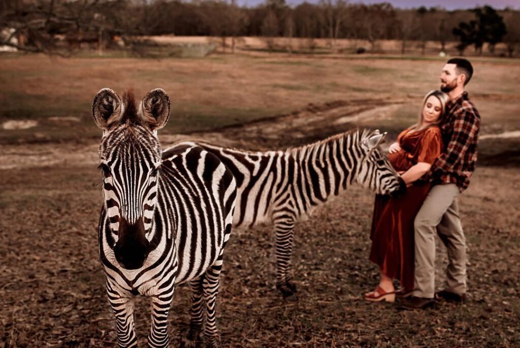 Capture Your Maternity Memories with Me - Michaela, Your Personal Photographer"