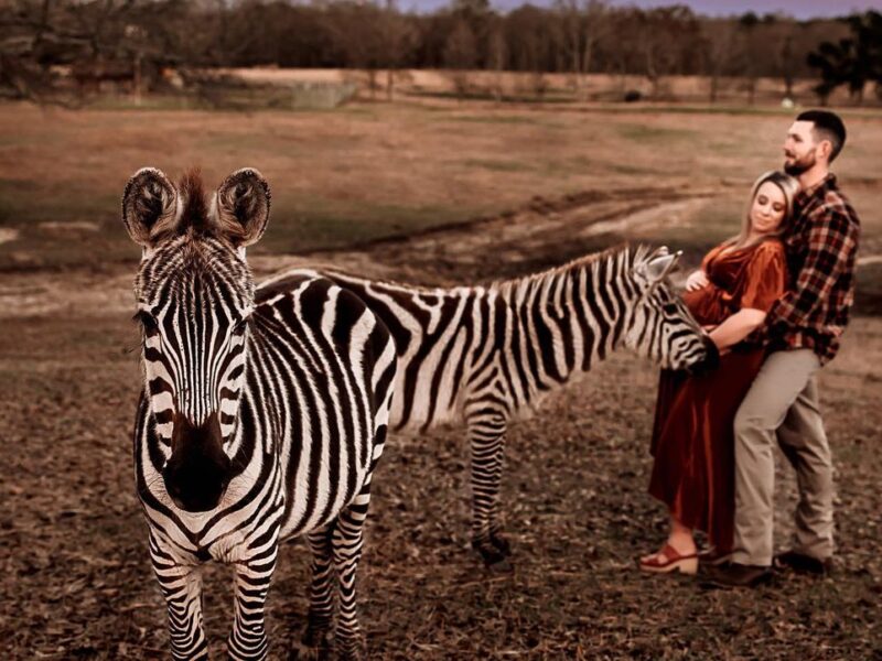 Capture Your Maternity Memories with Me - Michaela, Your Personal Photographer"