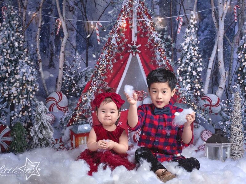 Preserve Your Family's Precious Moments: Lifestyle Family Portrait Photography in Scarsdale