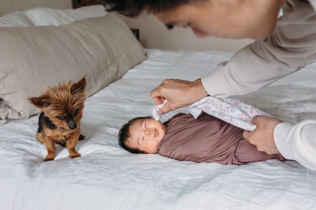 Memorable Newborn Photography: Capturing the Little Moments with an Experienced Photographer