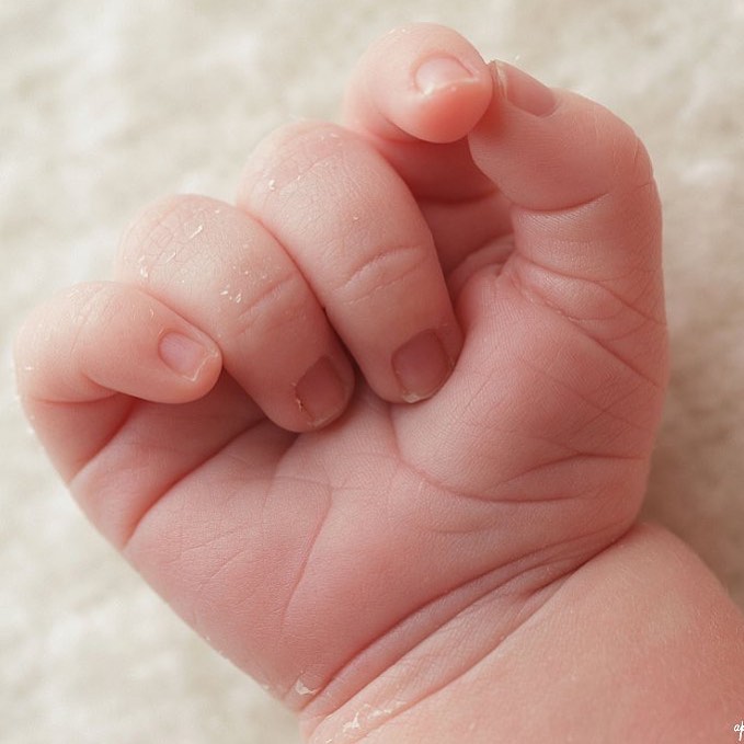 Pure and Timeless Newborn and Family Photography in Tulsa - Tulsa’s Best Newborn Photographer