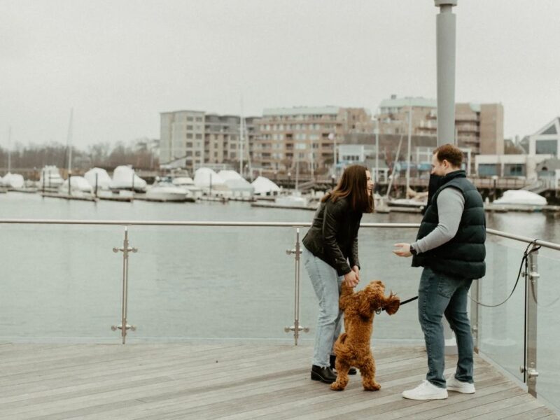 Golden Hour Photographer in NY: Lifestyle Portraits, Family, and More!