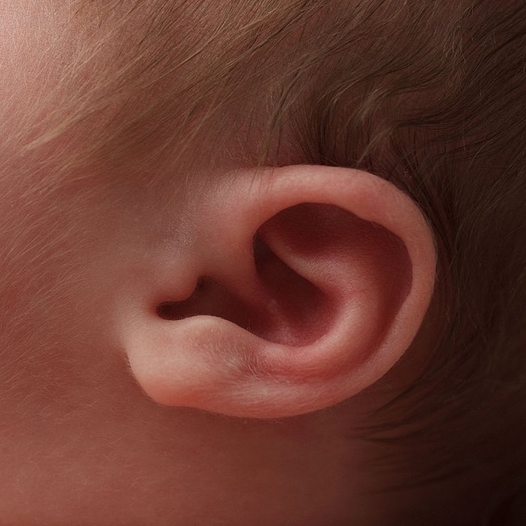 Pure and Timeless Newborn and Family Photography in Tulsa - Tulsa’s Best Newborn Photographer